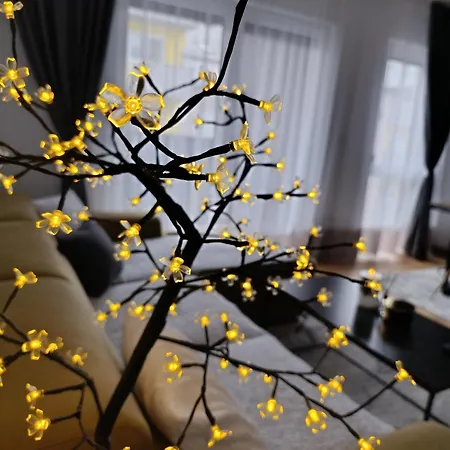 Connected Apartamento *