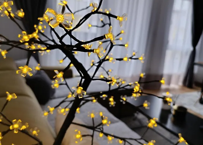 Connected Apartamento *